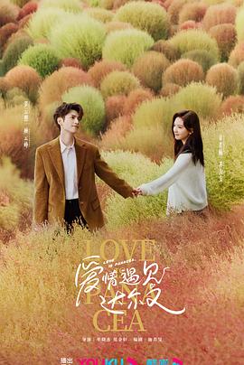 seo优化教程必用